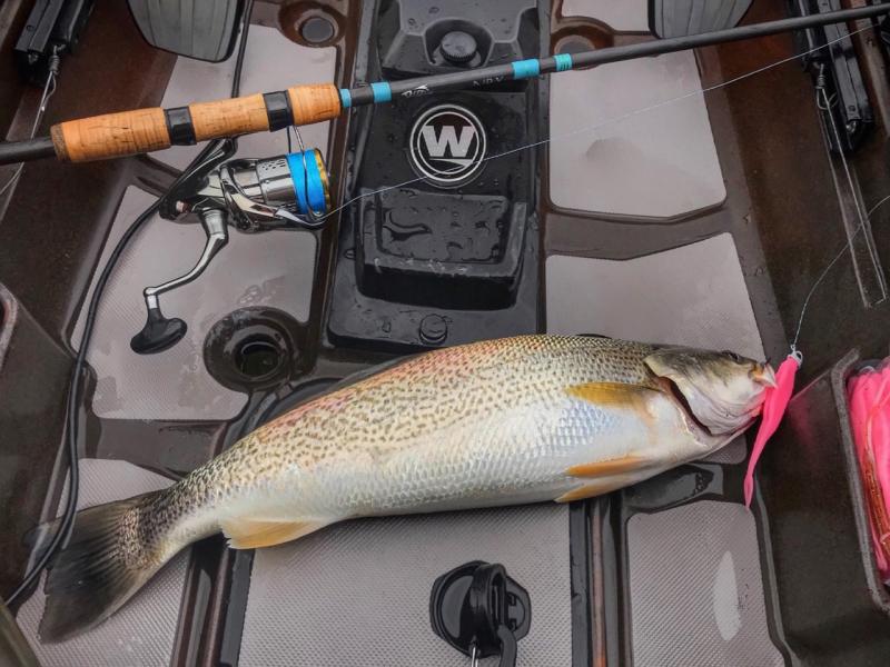 The Ways of the Weakfish, Wilderness Systems Kayaks